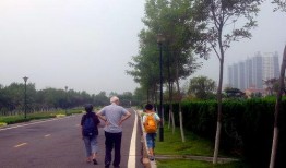 海阳吃瓜最新事件爆料埠南村,埠南村最新爆料揭秘